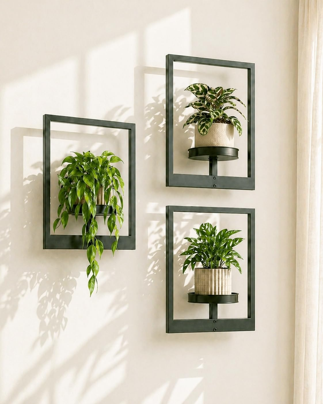 Ideas para aprovechar paredes y espacios verticales con plantas