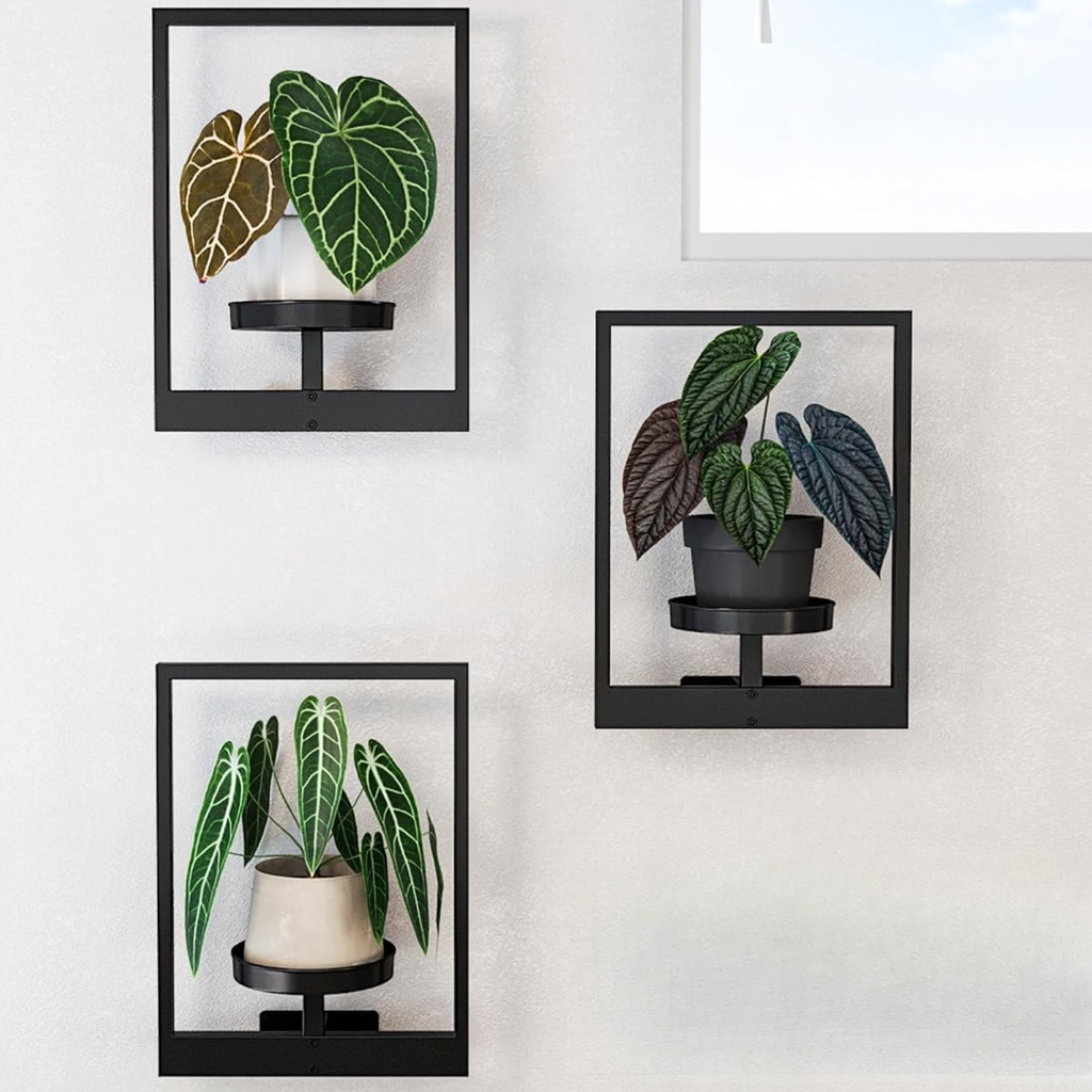 Set de 3 soportes de pared para macetas, estanterías metálicas para plantas de interior y exterior