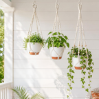 Set de 3 maceteros colgantes con soportes de macramé y sistema de autorriego, blancos, para interior y balcón