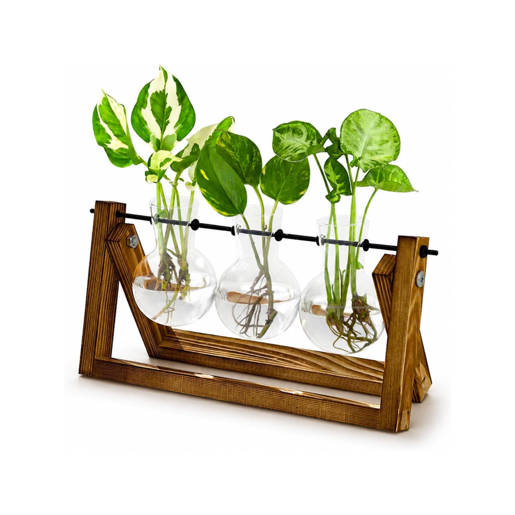 Estación de propagación hidropónica con soporte de madera y 3 jarrones de vidrio para plantas