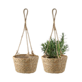 Set de 2 maceteros colgantes de fibra natural de 20 cm, tejidos a mano, para interior y exterior