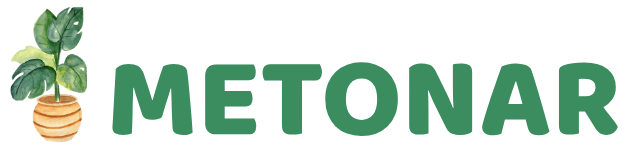 METONAR