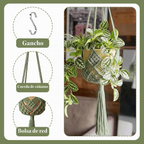 Set de 2 colgadores de macramé para macetas de hasta 20 cm, diseño boho en verde oscuro