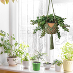 Set de 2 colgadores de macramé para macetas de hasta 20 cm, diseño boho en verde oscuro