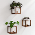 Set de 3 maceteros de pared de cerámica con marcos de madera maciza, acabado marrón nogal