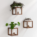 Set de 3 maceteros de pared de cerámica con marcos de madera maciza, acabado marrón nogal