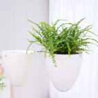 Set de 3 maceteros colgantes de autorriego con doble recipiente, blancos mate, para plantas de interior