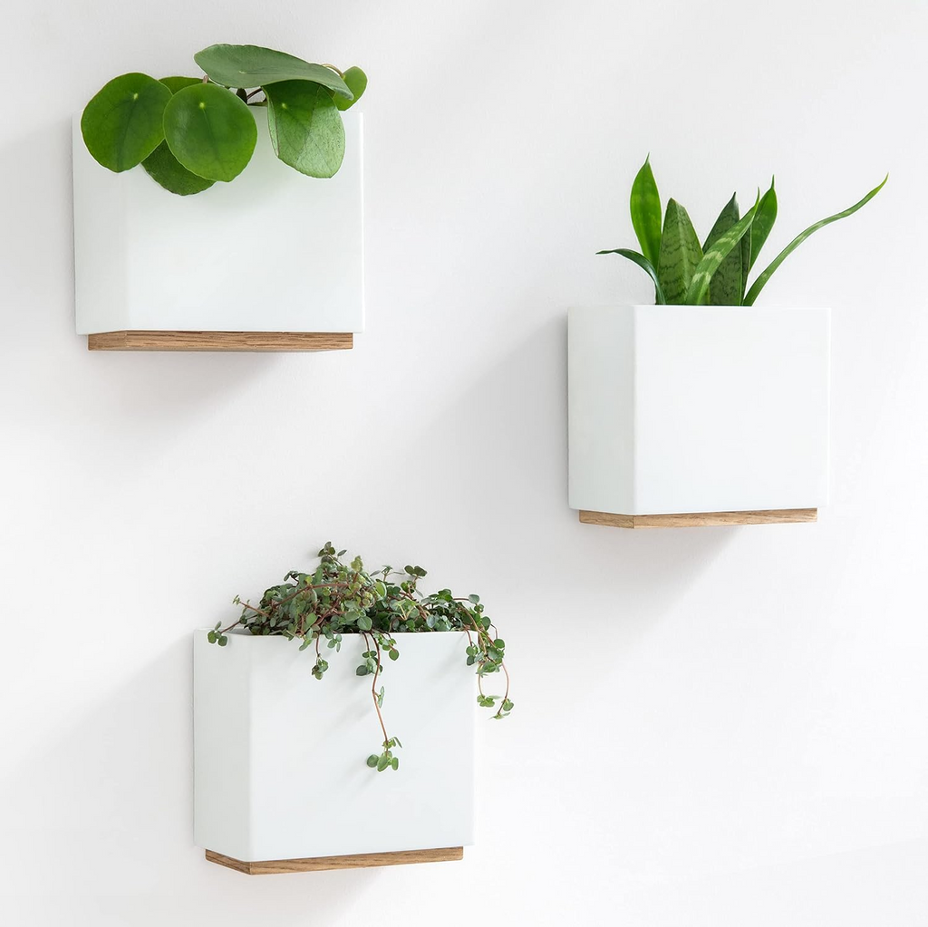 Set de 3 maceteros de pared de resina con detalle de madera, blancos, para plantas de interior