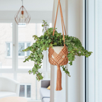 Set de 2 colgadores de macramé para macetas de hasta 20 cm, diseño boho en color caramelo