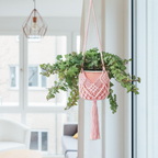 Set de 2 colgadores de macramé para macetas de hasta 20 cm, diseño boho en rosa claro