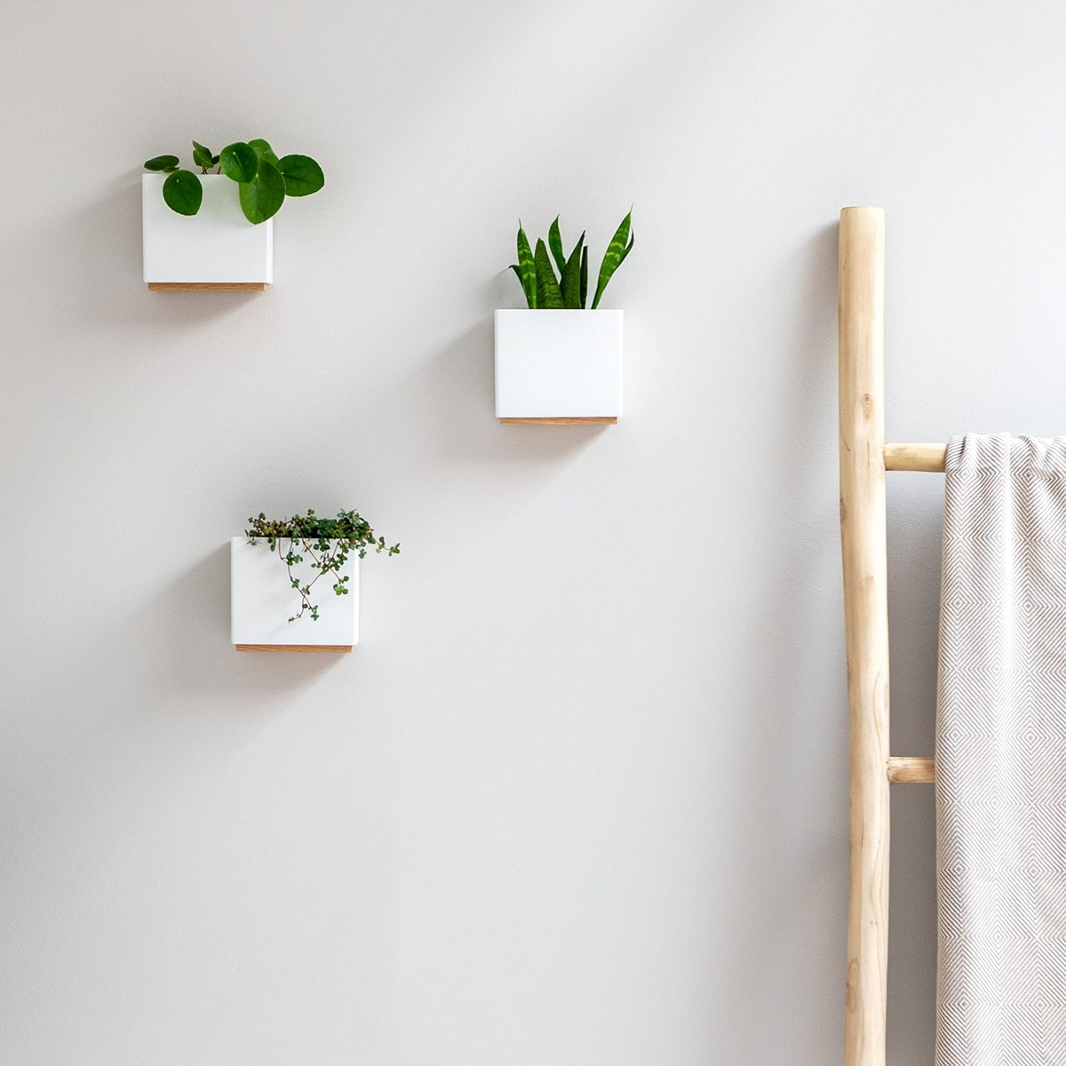 Set de 3 maceteros de pared de resina con detalle de madera, blancos, para plantas de interior
