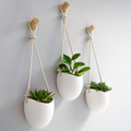 Set de 3 maceteros de pared de porcelana con ganchos de madera, blancos mate, para plantas de interior