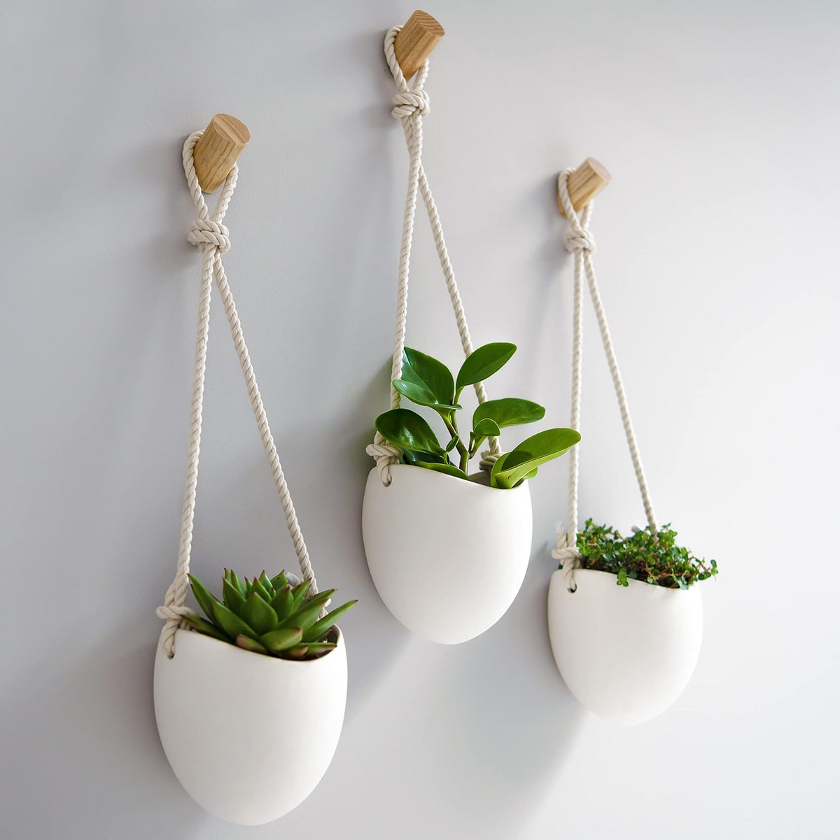 Set de 3 maceteros de pared de porcelana con ganchos de madera, blancos mate, para plantas de interior